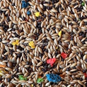 Bravo Meyveli Kanarya Yemi 5 KG.– Karışık İçerik (B 004.5)