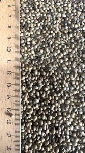 Bravo Sade Kenevir 20 Kg - (B 902)