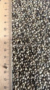 B 902.5 Bravo Kenevir 5 Kg