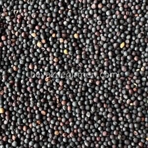 Bravo Kanola 20 KG – Kuş Yemi (B906)
