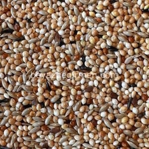 B 412.5 Bravo Tropikal Kuş Yemi 5 Kg