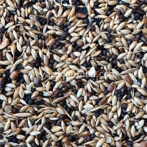 B 105 Bravo Premium Irk Kanarya Yemi - 20 KG.