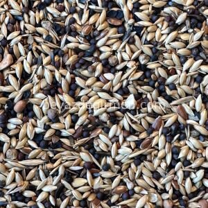 Bravo Premium Irk Kanarya Yemi - Karışık İçerik 20 KG. (B 105)