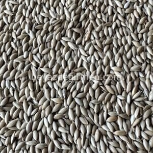 B 901.5 Bravo Aspur Kuş Yemi 5 Kg