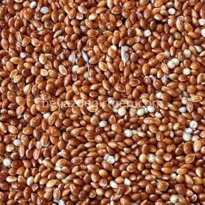 B 930.5 Bravo Kızıl Darı 5 Kg