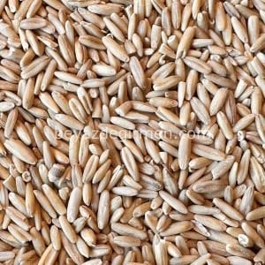 Bravo Sade İç Yulaf 5 Kg - (B 934.5)