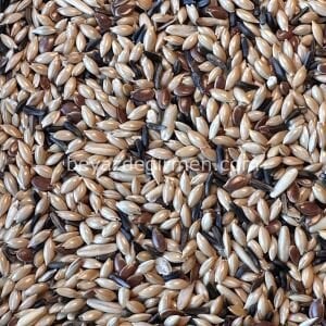 B 104.5 Bravo Special  Irk Kanarya Yemi (Şalgamsız) 5 Kg