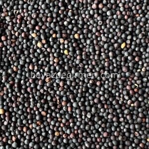Bravo Kanola 5 KG – Kuş Yemi (B906.5)