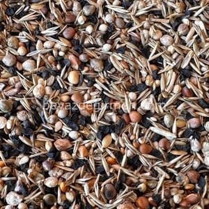 B 109.5 Bravo Sağlık Tohumu 5 Kg
