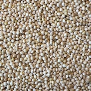 Bravo Ak Darı 5 Kg - Sade Yem ( B 928.5 )