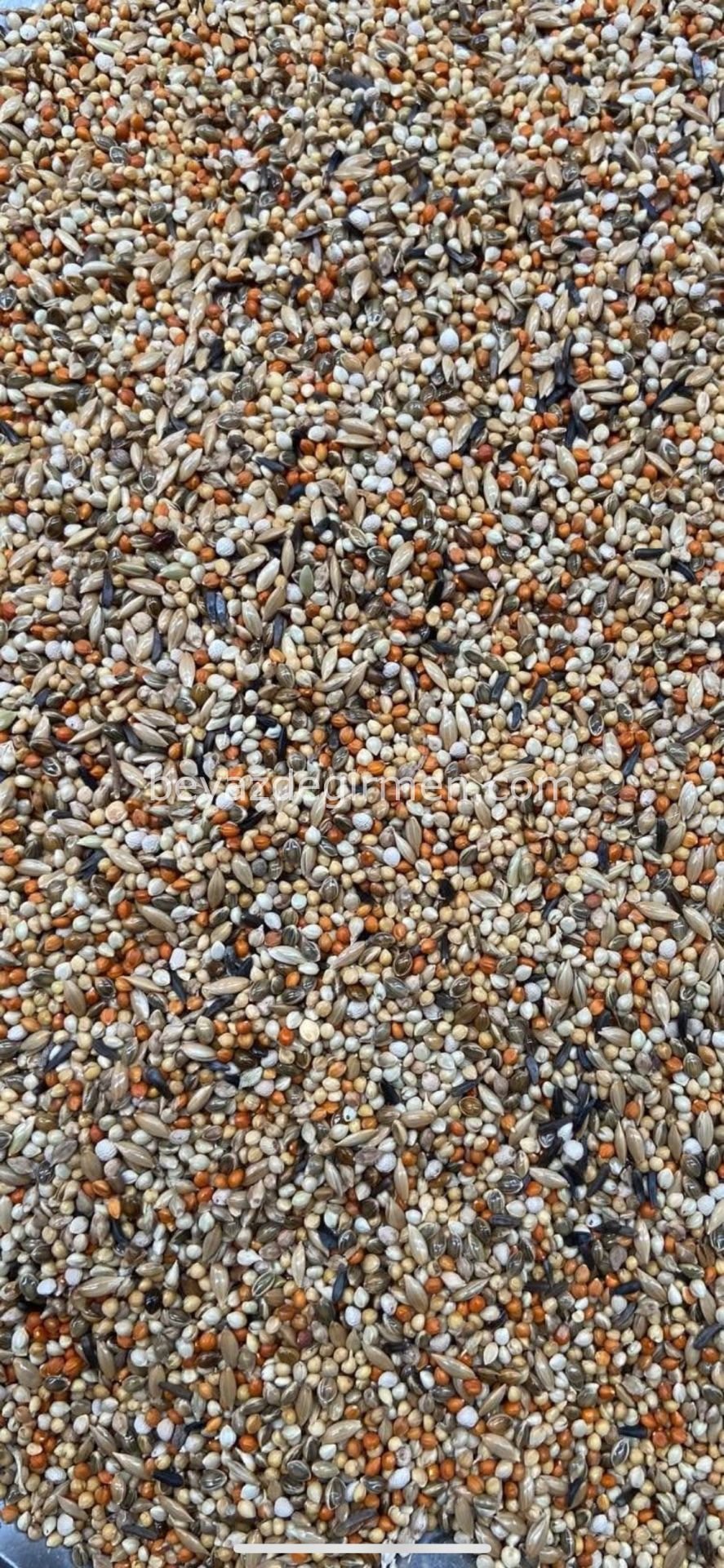 B 314 Bravo Finch Yemi  20 Kg