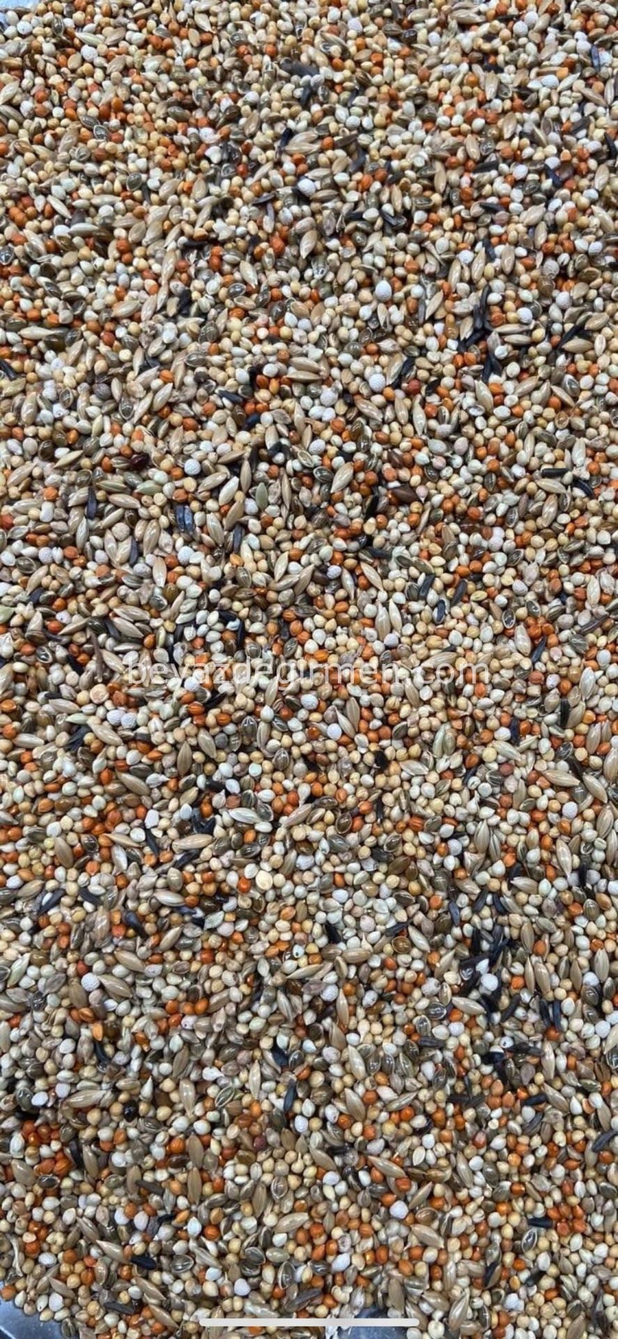 Bravo Finch Yemi  20 Kg -Karışı İçerik (B314)