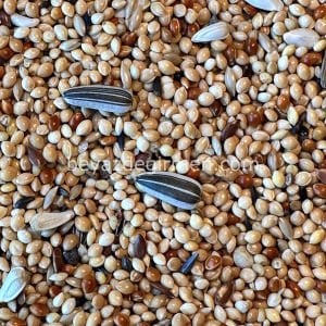 Bravo Paraket Yemi - Karışık İçerik 5 Kg (B 402.5 )