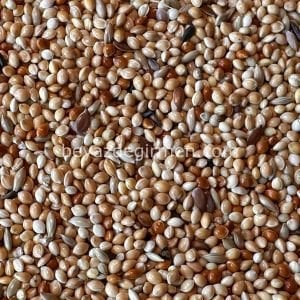 B 302 Bravo Muhabbet Kuş Yemi 20 Kg