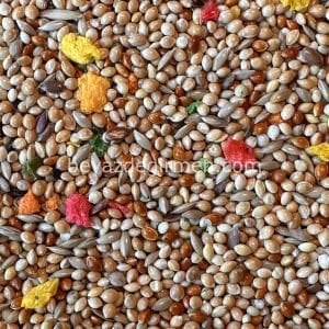 Bravo Eko Meyveli Muhabbet Yemi 20 Kg. - Karışık İçerik (B 304)