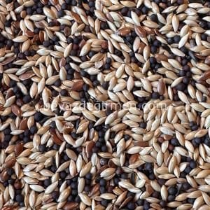 Bravo Standart Irk Kanarya Yemi 20 KG. - Karışık İçerik (B 101)