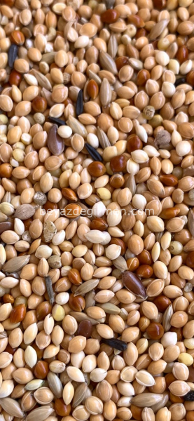 B 101 Bravo Standart Irk Kanarya Yemi 20 KG.