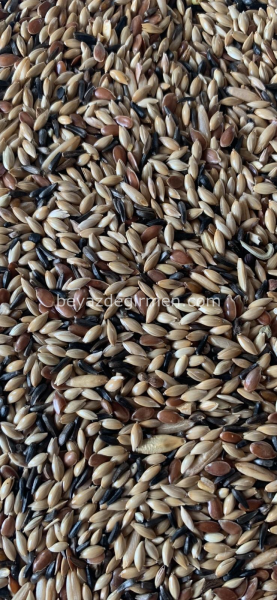 Bravo Standart Irk Kanarya Yemi 20 KG. - Karışık İçerik (B 101)