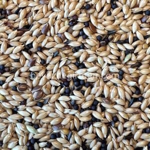 Bravo Kanarya Yemi 20 KG.– Karışık İçerik (B 181)