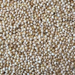 Bravo Ak Darı - Sade Yem 20 Kg ( B 928 )