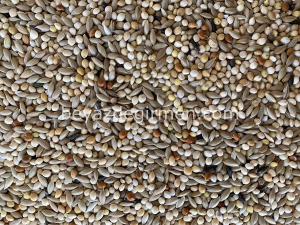 Bravo Üretici Muhabbet Kuşu Yemi 20 Kg – Max Ambalaj (M 312)