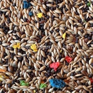 Bravo Meyveli Kanarya Yemi 20 KG.– Karışık İçerik (B 004)