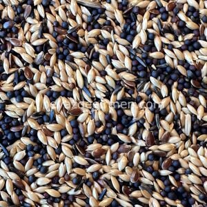 B 002 Bravo Ekonomik Kanarya Yemi 20 KG.