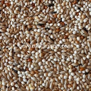 Bravo Üretici Muhabbet Kuşu Yemi 20 Kg – Karışık İçerik (B312)