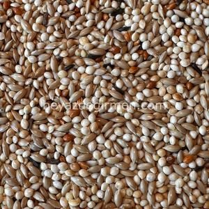 B 312.5 Bravo K. Üretici Muhabbet Kuş Yemi 5 Kg