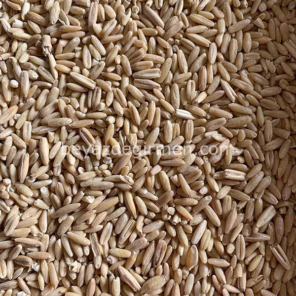B 934 Bravo İç Yulaf 20 Kg.