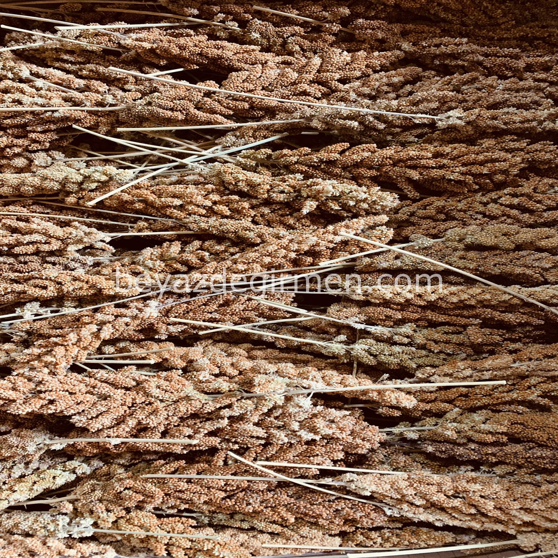 B 952 Kızıl Dal Darı 15 Kg.Koli