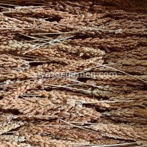 B 952 Kızıl Dal Darı 15 Kg.Koli