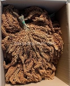 B 951-1.5   Bravo Kızıl Dal Darı 1.5 Kg