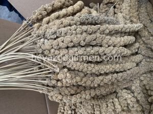 B 1002  Bravo Sarı Daldarı 15 kg Koli