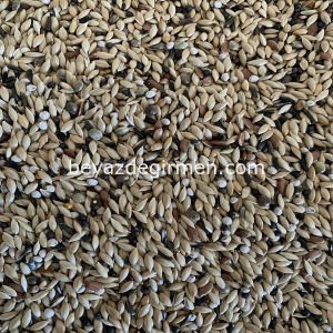 B 115 Bravo Perillalı Kanarya Yemi  20 KG.