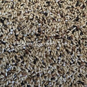 B 115.5 Bravo Perillalı Kanarya Yemi 5 kg