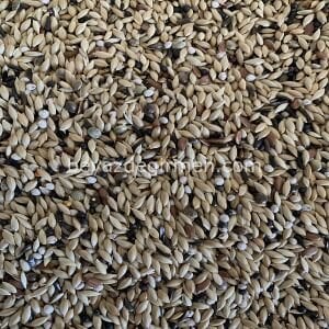 Bravo Perillalı Kanarya Yemi 5 Kg – Yüksek Aspurlu Karışım (B 115.5)