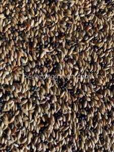 B 077 Bravo Kenevirli Kanarya Yemi   20 KG.