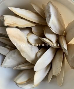 KALAMAR KEMİĞİ 1,3 KG. GAGA TAŞI