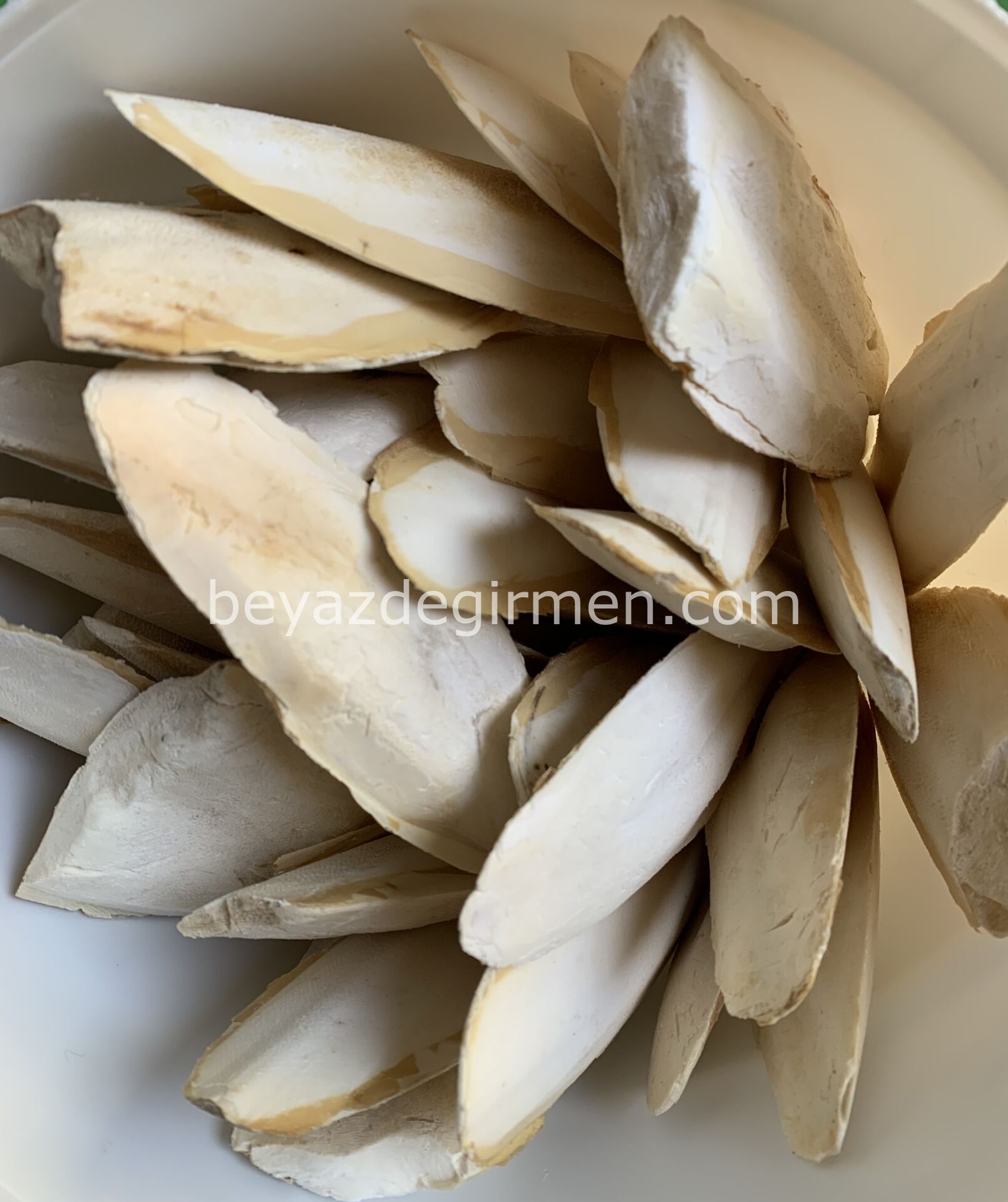 Kalamar Kemiği Gaga Taşı 12 Kg