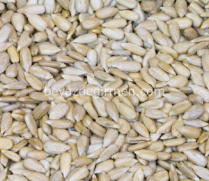 B 912.5   İç Çekirdek 5 Kg