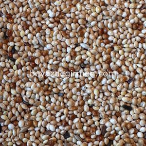 M 322 Bravo Ekonomik Muhabbet Kuş Yemi  20 KG.