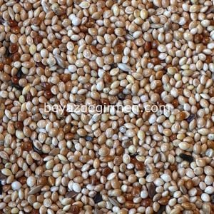 Max Ekonomik Muhabbet Kuş Yemi - Karışık İçerik (M 322)