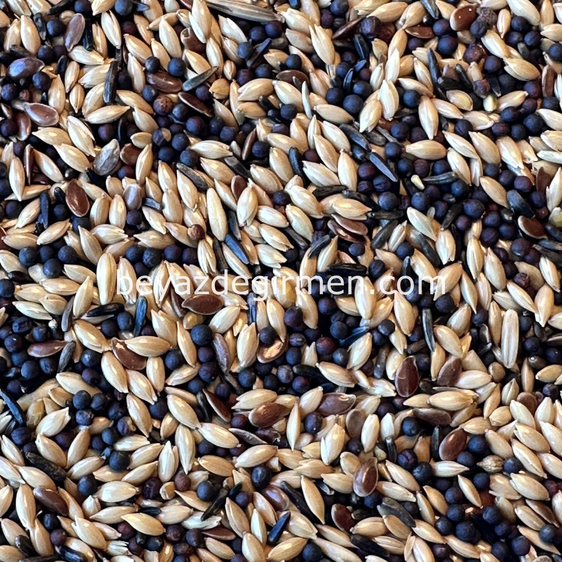 B 002.5 Bravo Ekonomik Kanarya Yemi 5 KG.