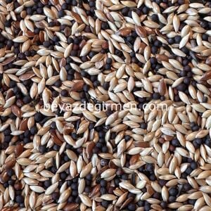 B 101 .5 Bravo Standart Irk Kanarya Yemi 5 KG.