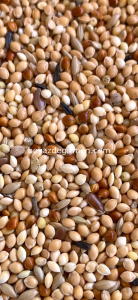 B 101 .5 Bravo Standart Irk Kanarya Yemi 5 KG.