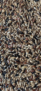 Bravo Standart Irk Kanarya Yemi 5 Kg - Karışık İçerik (B 101.5)