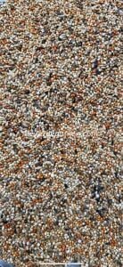 Bravo Finch Yemi  5 Kg - Karışık İçerik (B 314 .5)