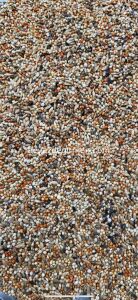 Bravo Finch Yemi  5 Kg - Karışık İçerik (B 314 .5)