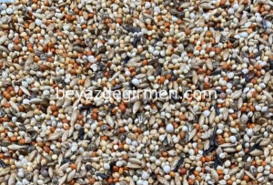 Bravo Finch Yemi  5 Kg - Karışık İçerik (B 314 .5)